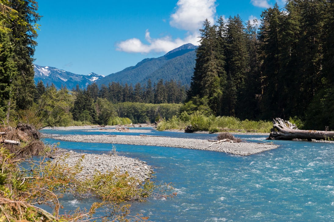 Olympic National Park Landscape