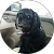 photo of dog.
